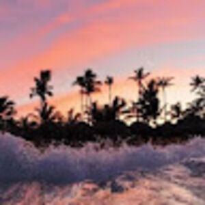 Meet your Posher, Jordyn